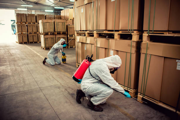 Best Cockroach Control Services  in Parkston, SD