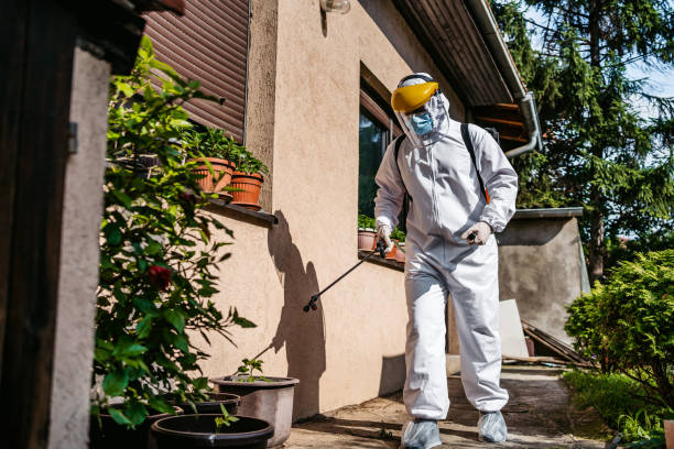 Best Flea Control Services  in Parkston, SD