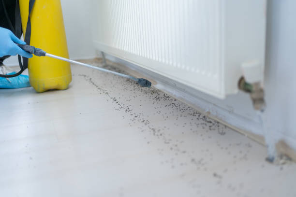Best Exterminator Services  in Parkston, SD