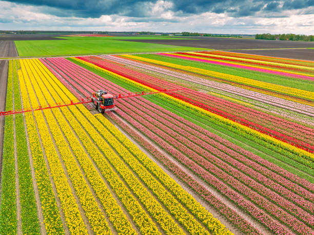 Best Pest Control Cost  in Parkston, SD